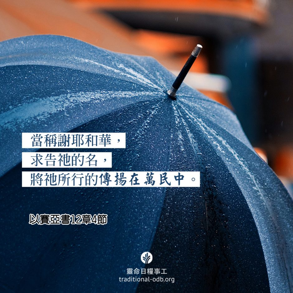 share-ctodb-2021-08-31 share-ctodb-2021-08-31