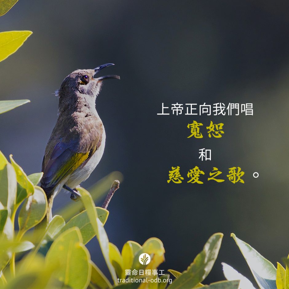 share-ctodb-2022-04-27 share-ctodb-2022-04-27