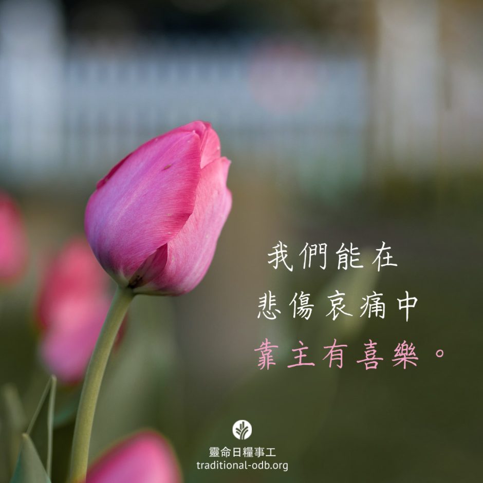 share-ctodb-2023-05-31