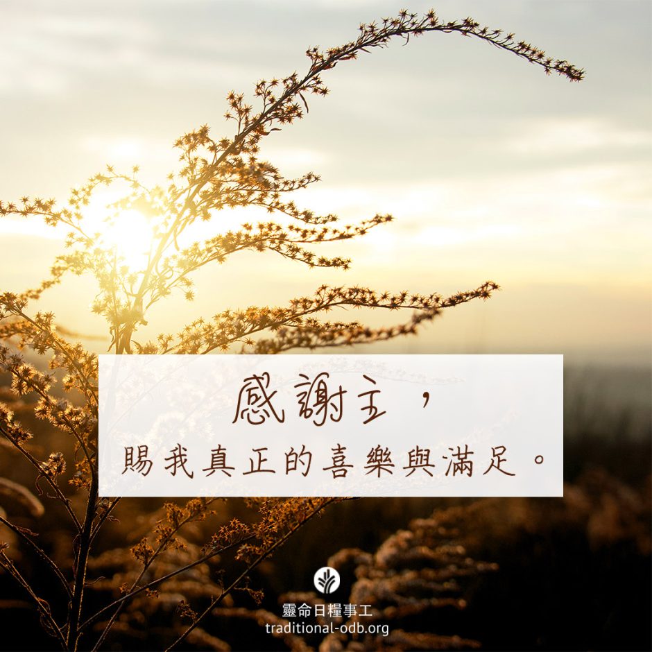 share-ctodb-2023-05-02