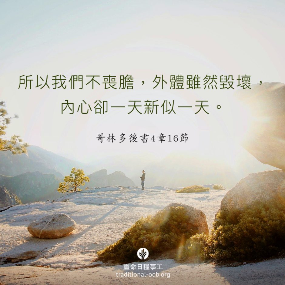 share-ctodb-2023-05-03