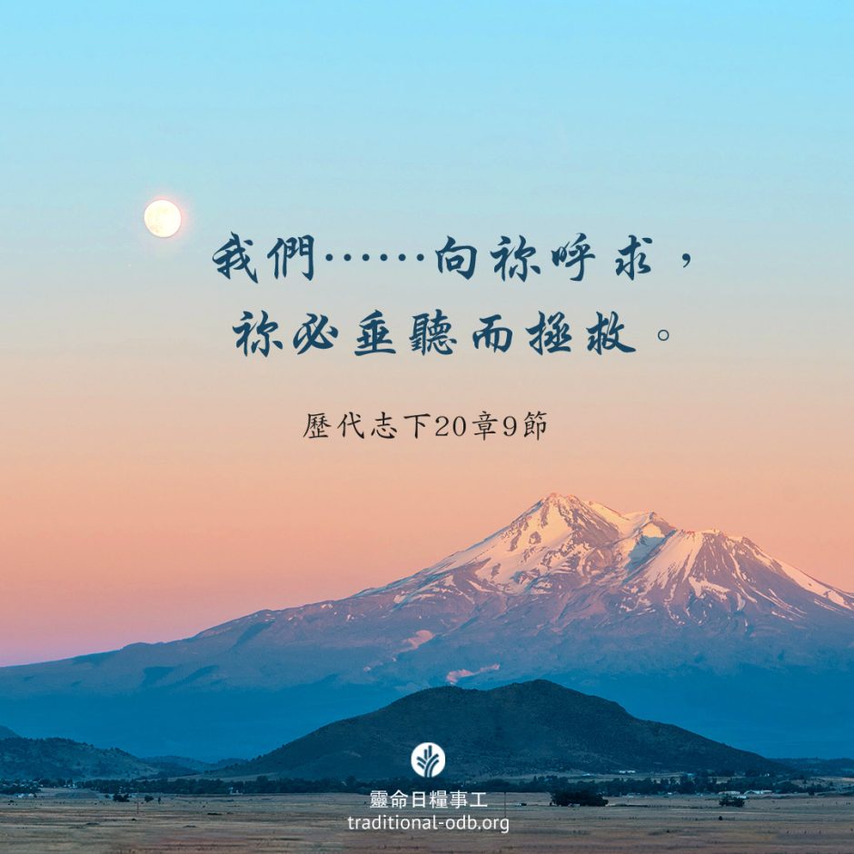 share-ctodb-2023-05-04