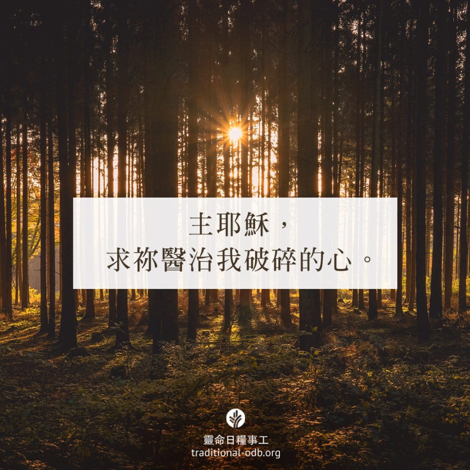 share-ctodb-2023-05-07