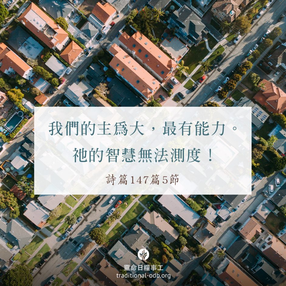 share-ctodb-2023-05-11