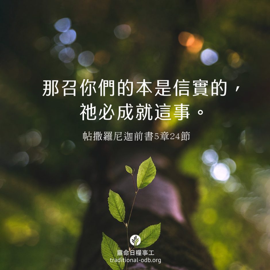 share-ctodb-2023-06-01