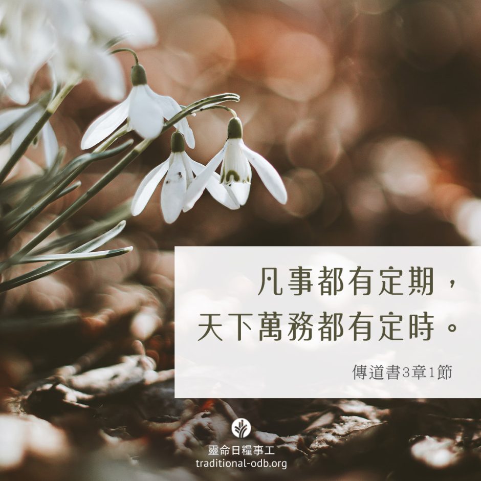 share-ctodb-2023-06-05