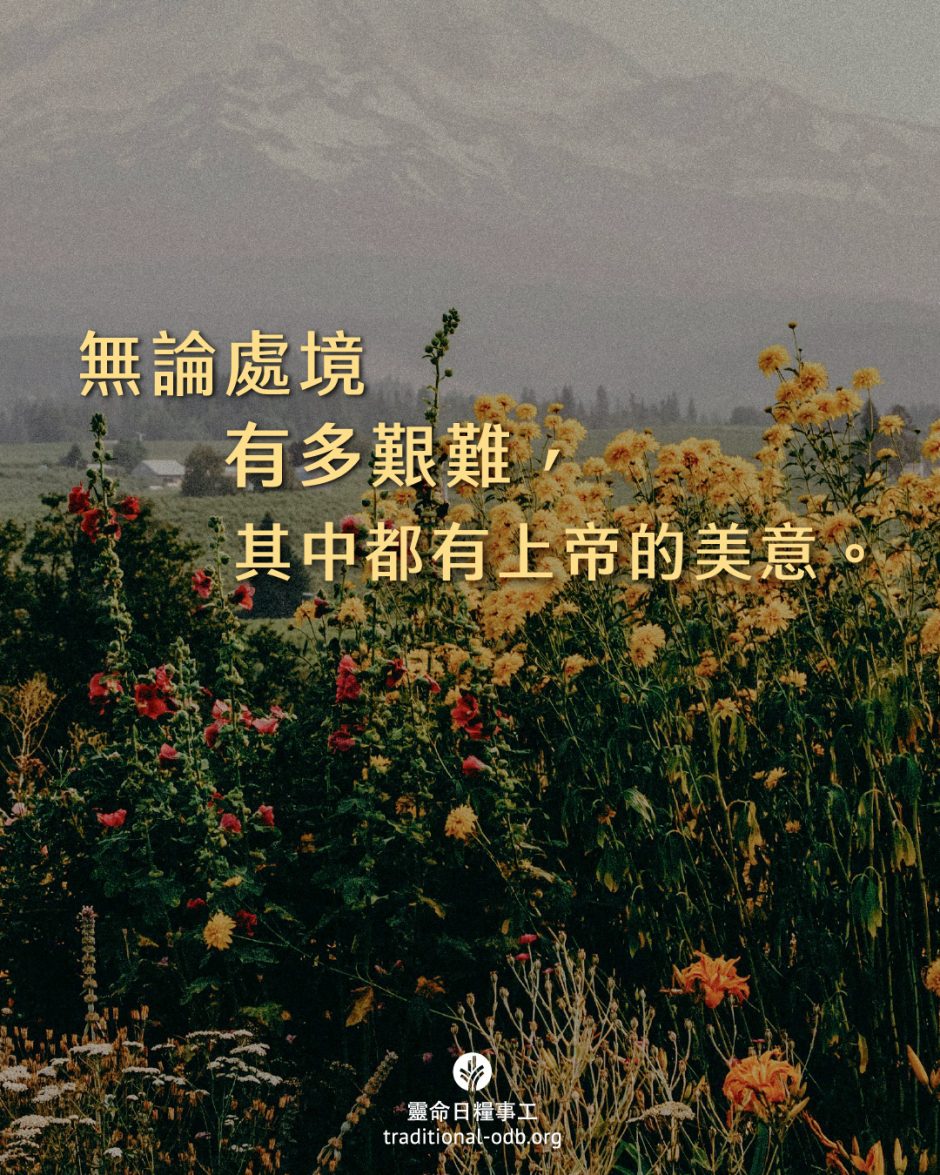 share_odb_2025-05-03 TC