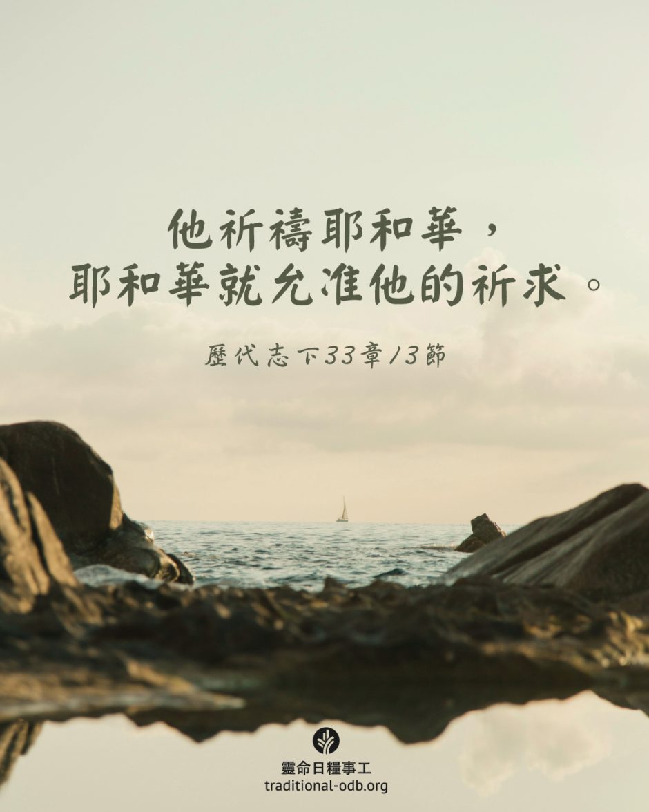 share_odb_2025-05-05 TC