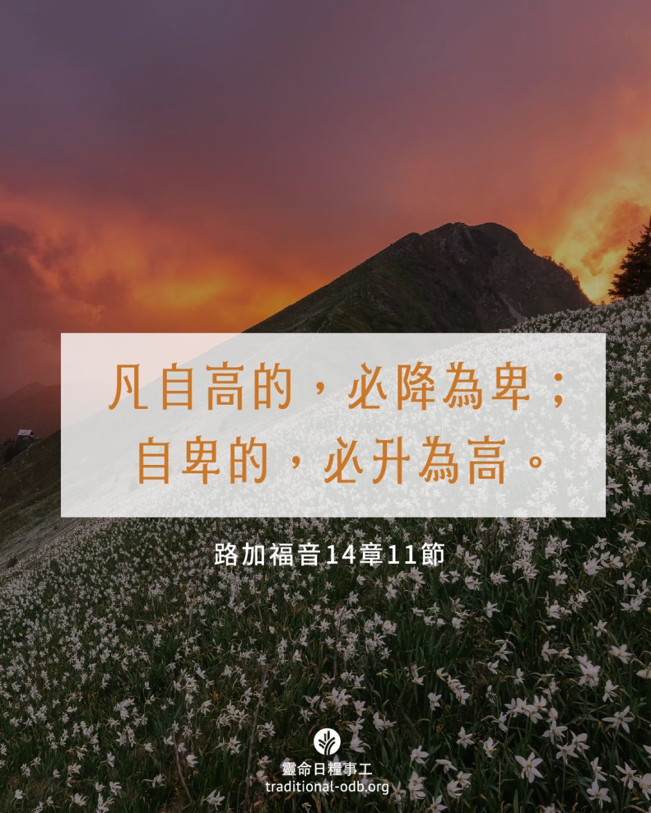 share_odb_2025-05-06 TC