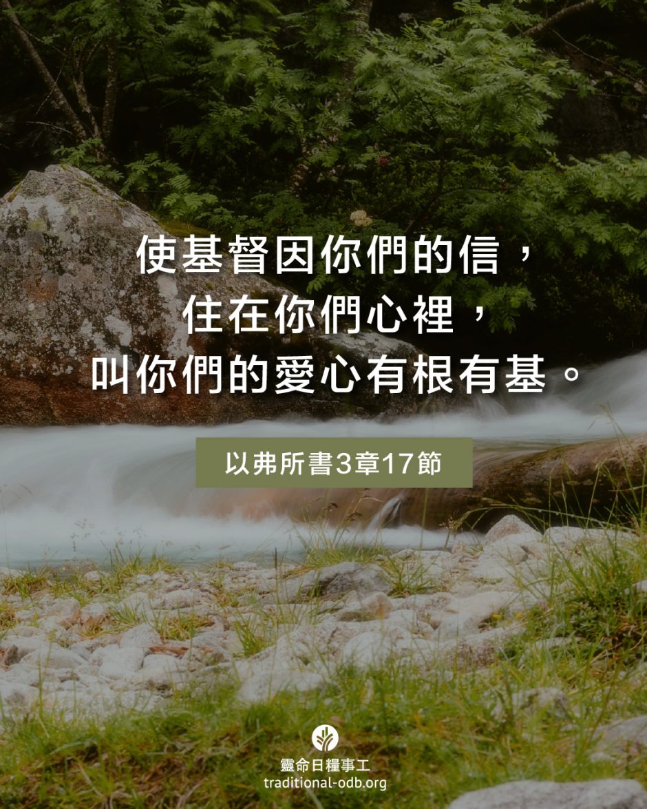 share_odb_2025-05-08 TC
