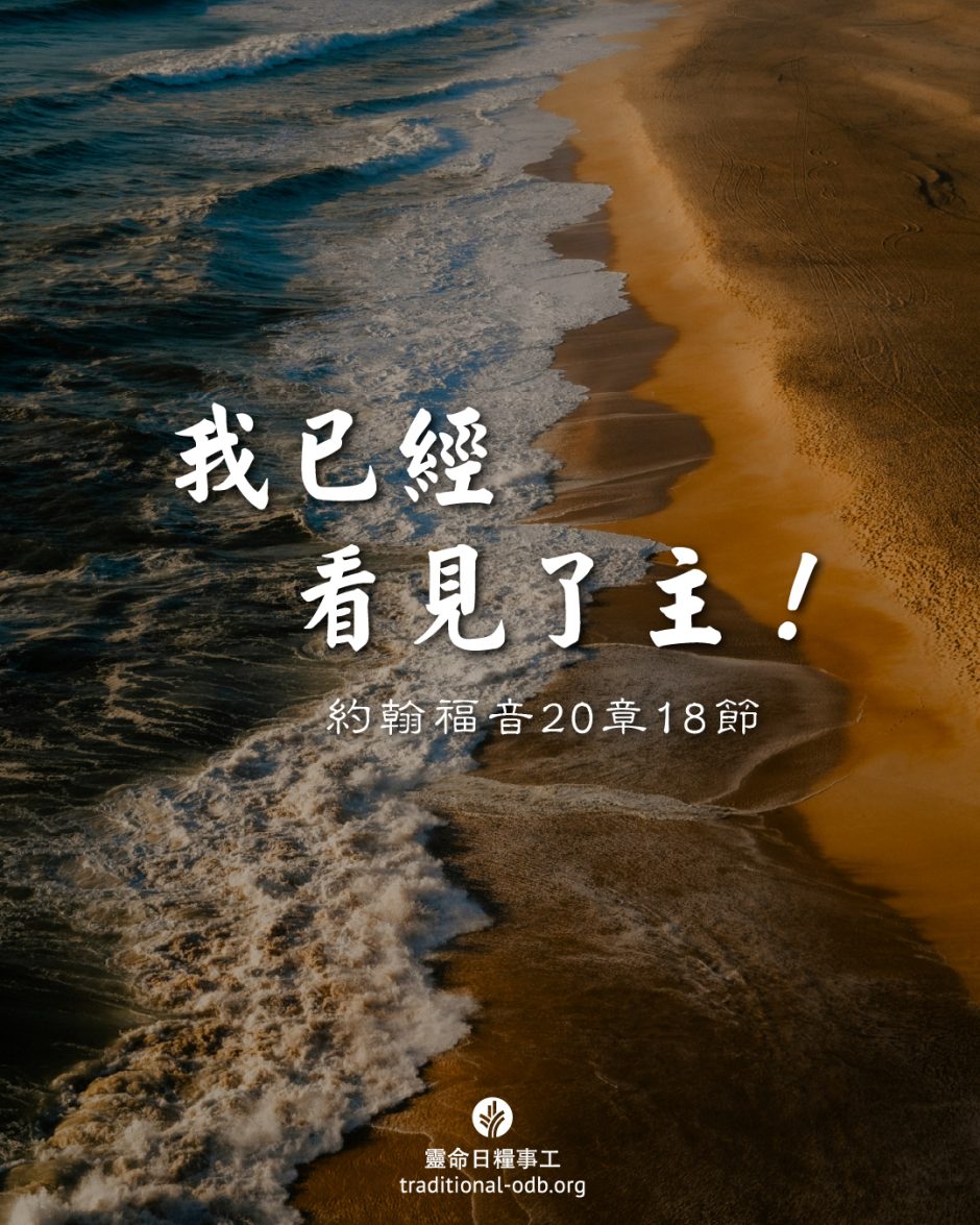 share_odb_2025-05-09 TC