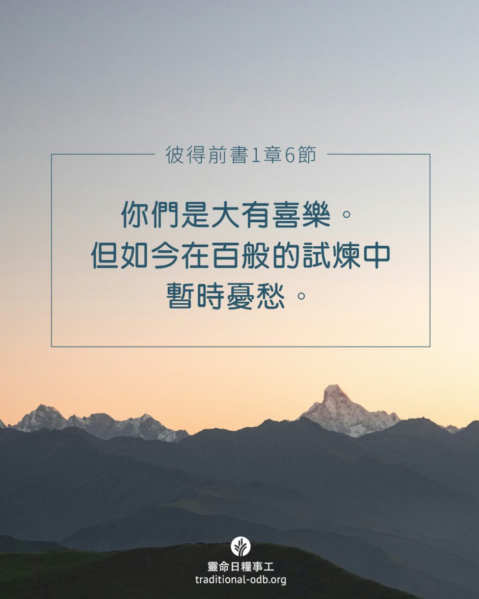 share_odb_2025-05-10 TC