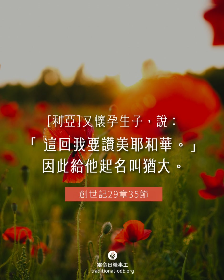 share_odb_2025-05-11 TC
