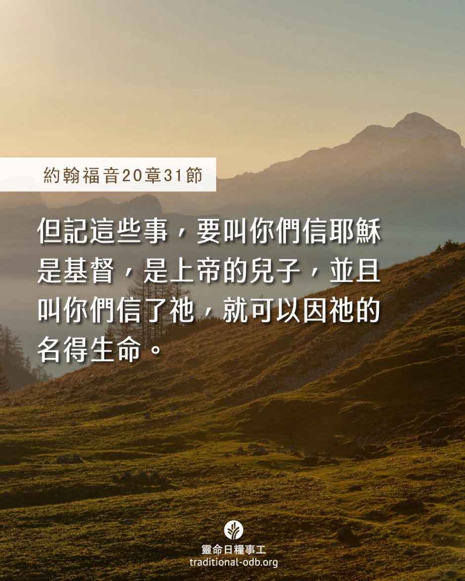 share_odb_2025-05-16 TC