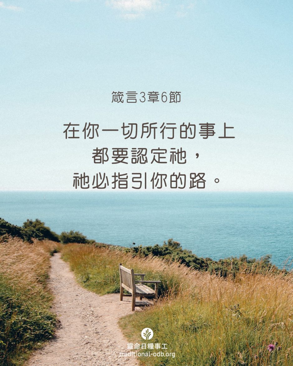 share_odb_2025-05-17 TC