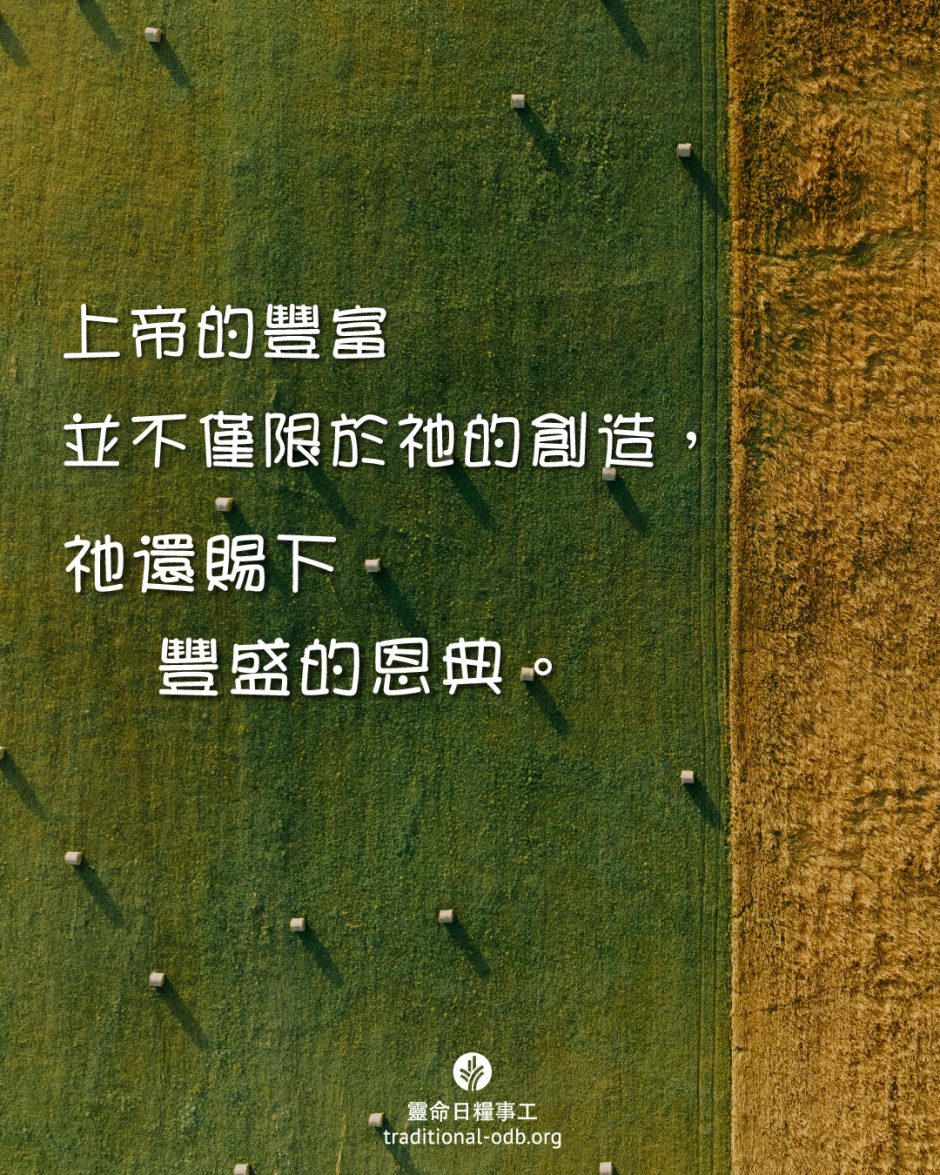 share_odb_2025-05-18 TC