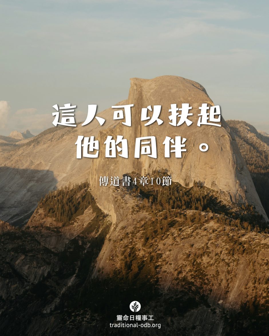 share_odb_2025-05-19 TC