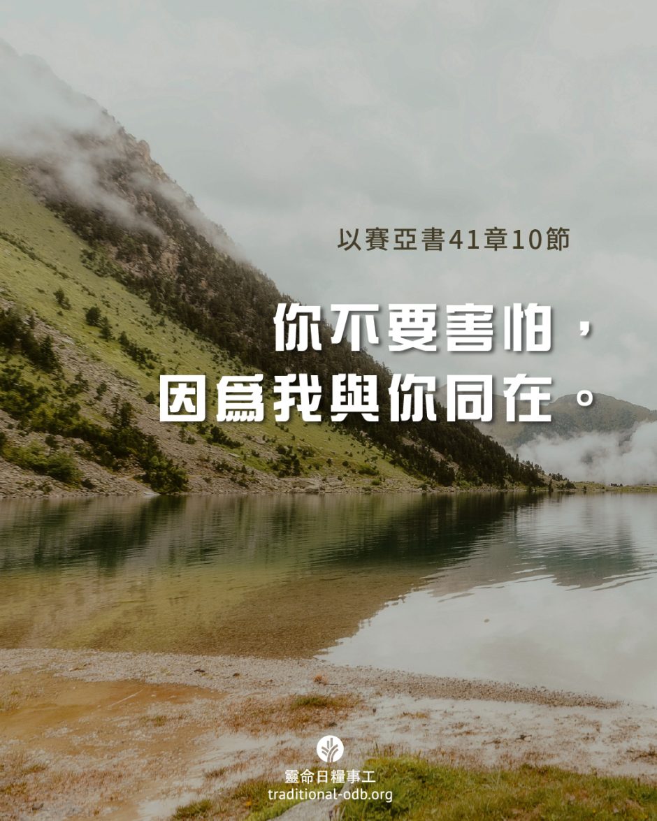 share_odb_2025-05-20 TC