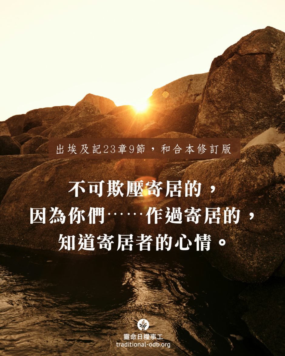 share_odb_2025-05-21 TC