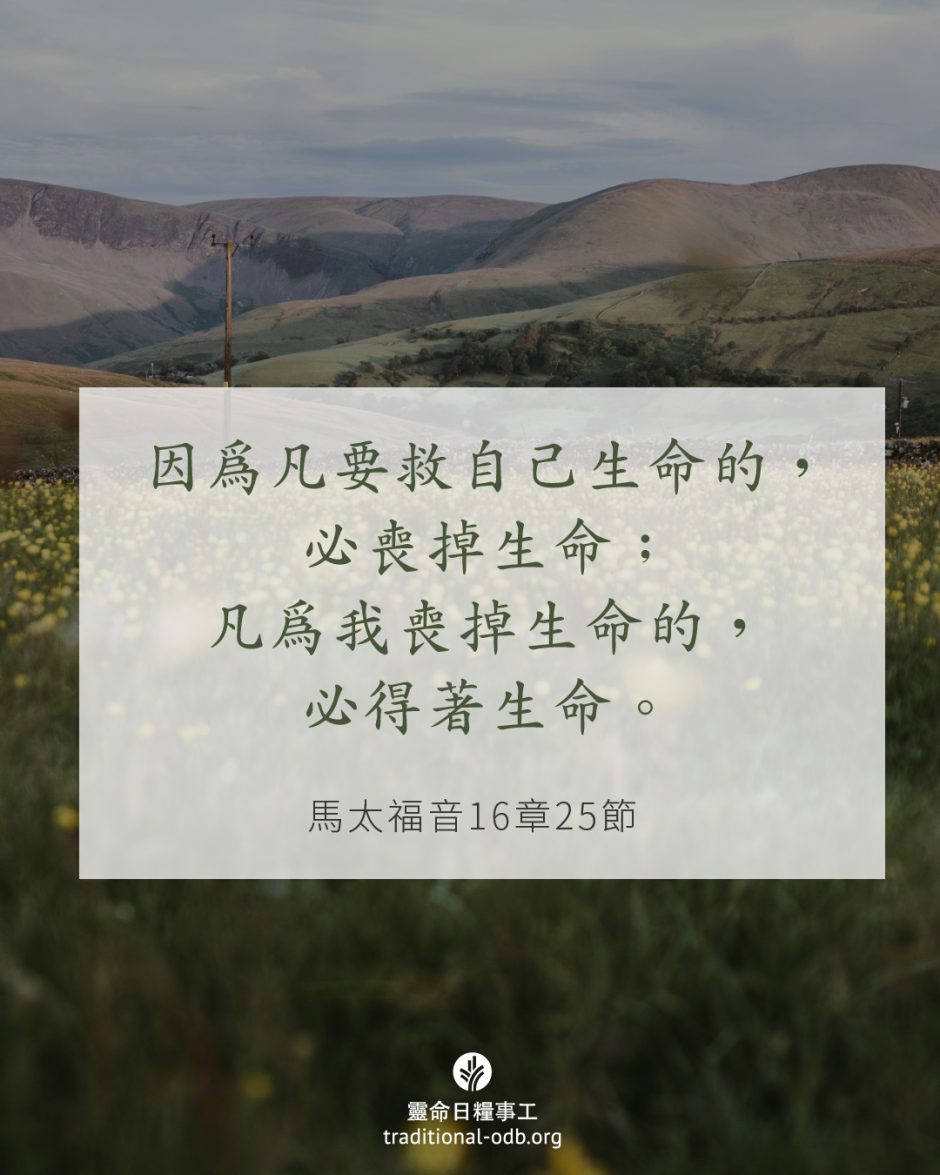 share_odb_2025-05-22 TC