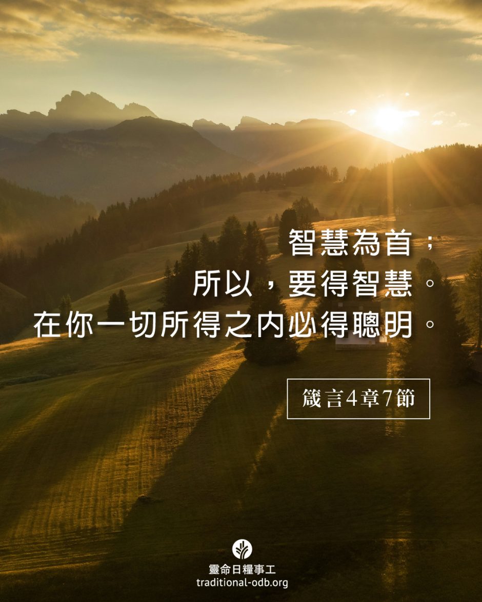 share_odb_2025-05-23 TC