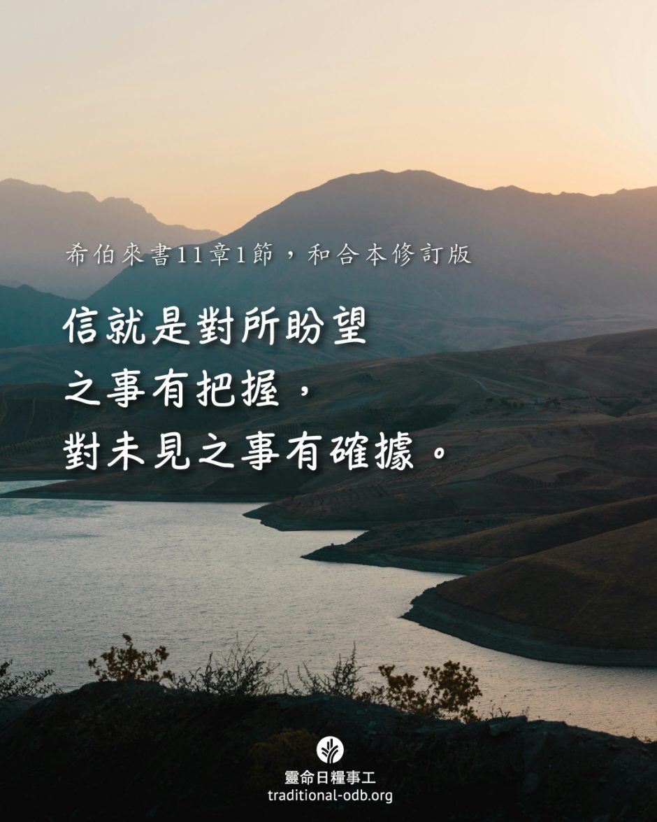 share_odb_2025-05-24 TC