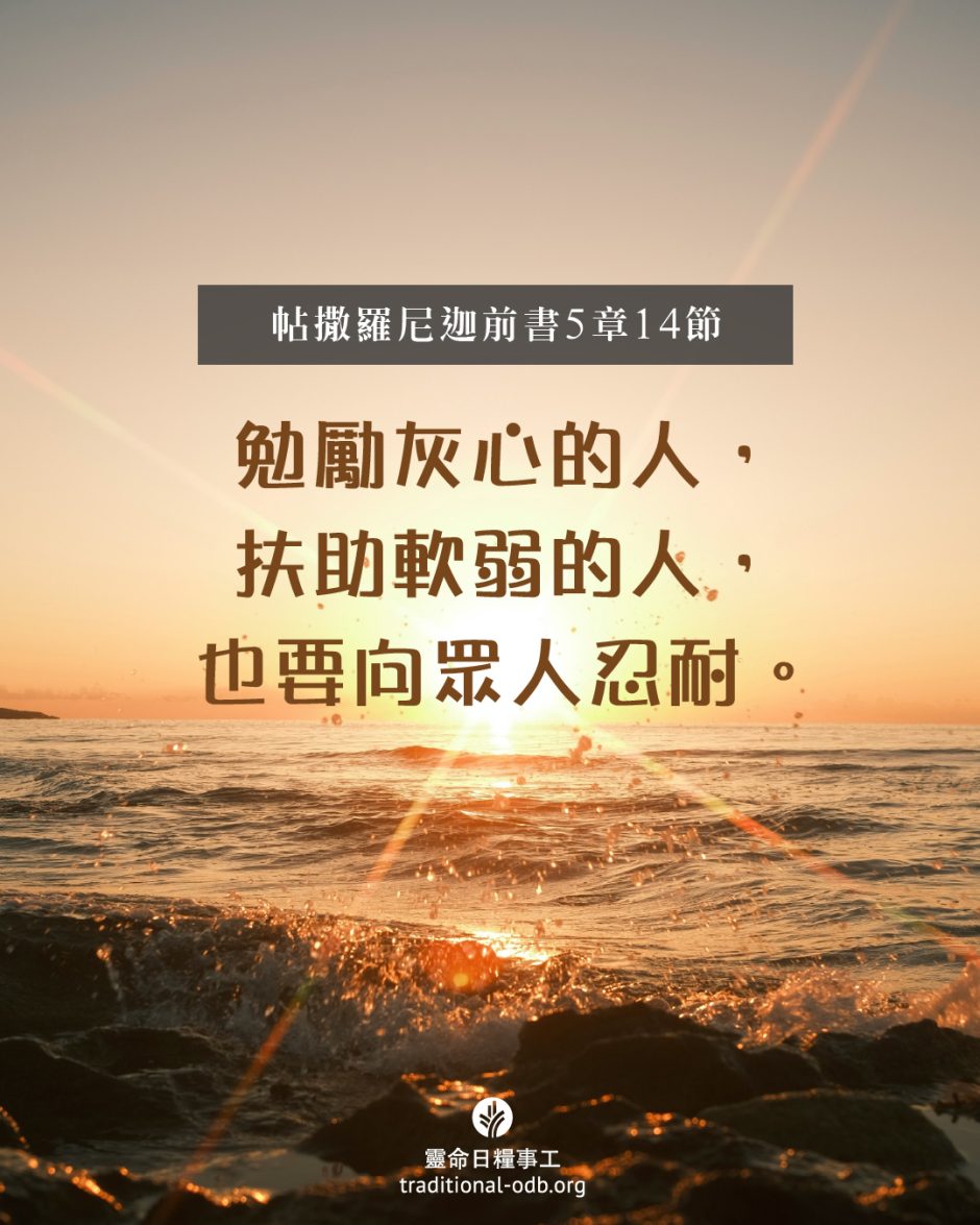 share_odb_2025-05-25 TC