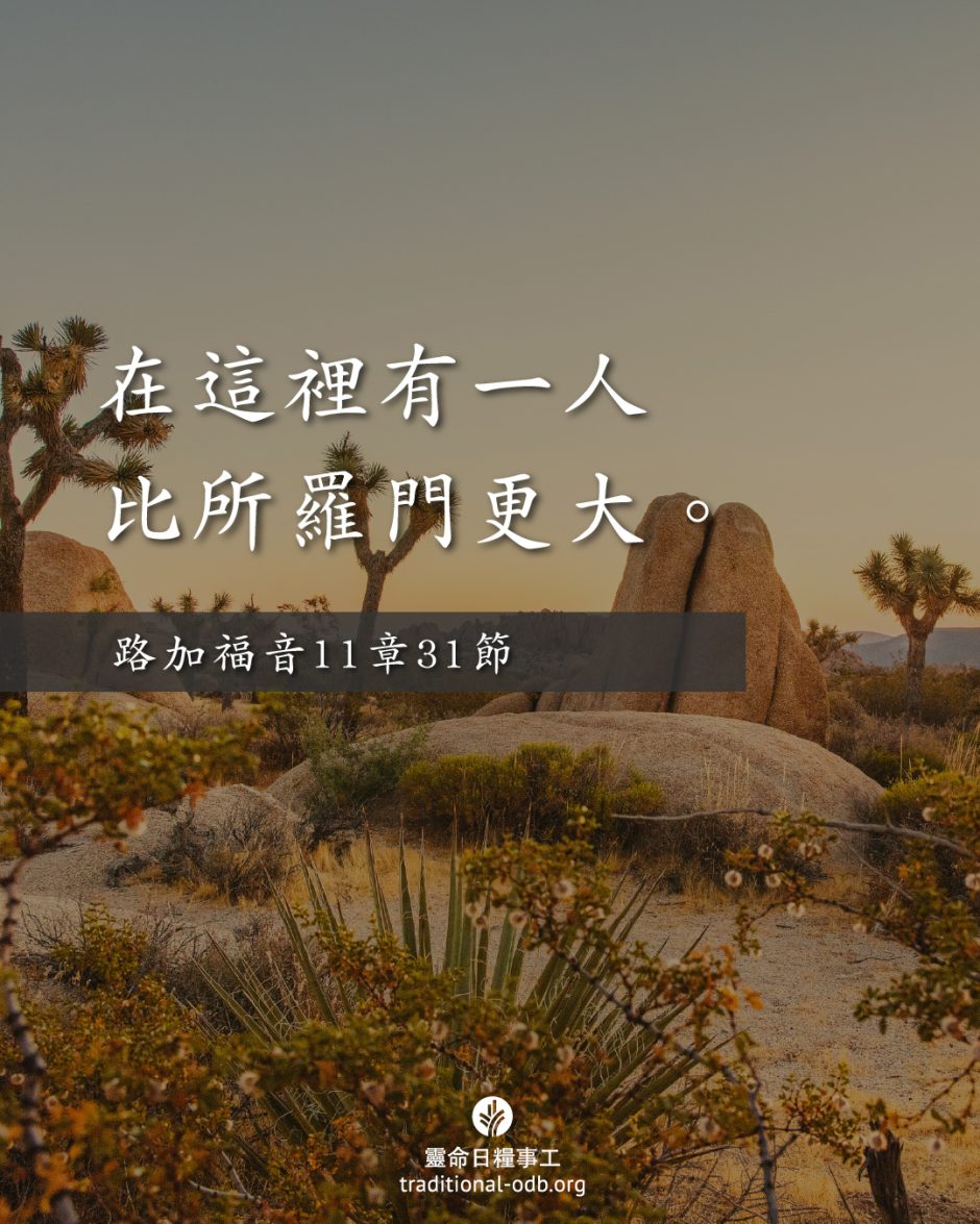 share_odb_2025-05-27 TC