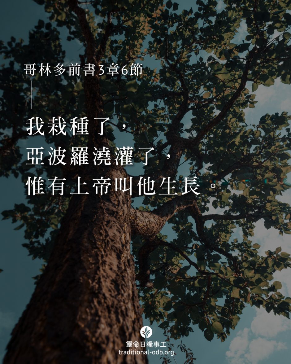 share_odb_2025-07-12 TC