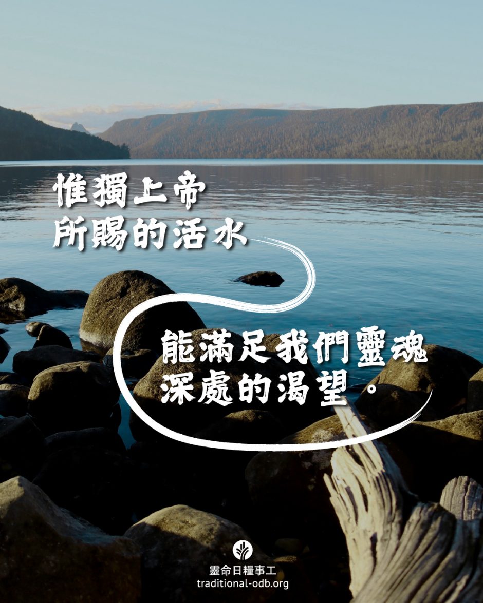 share_odb_2025-07-14 TC