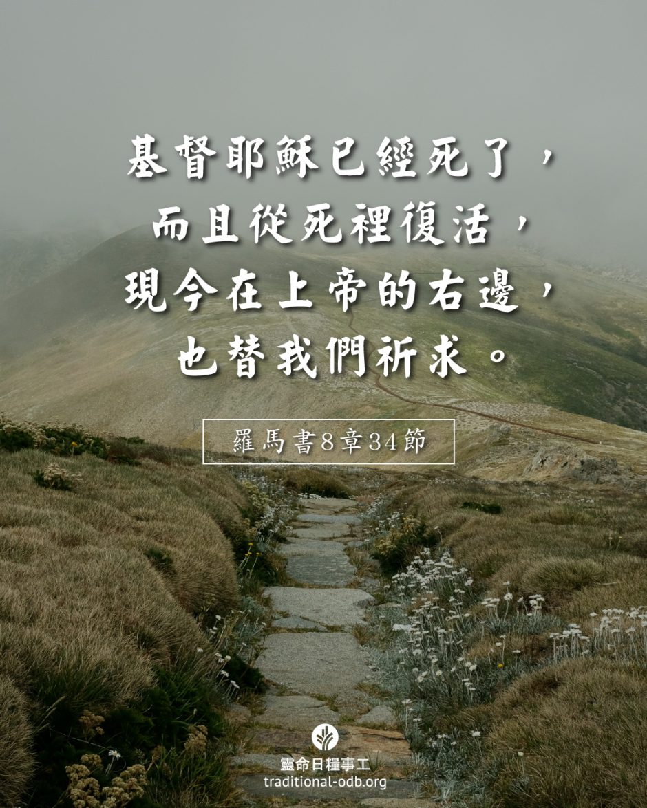 share_odb_2025-07-15 TC