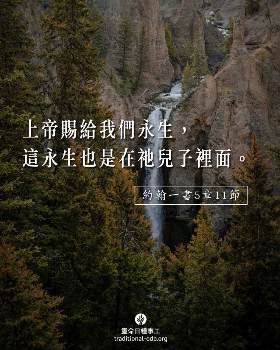 share_odb_2025-07-04 TC