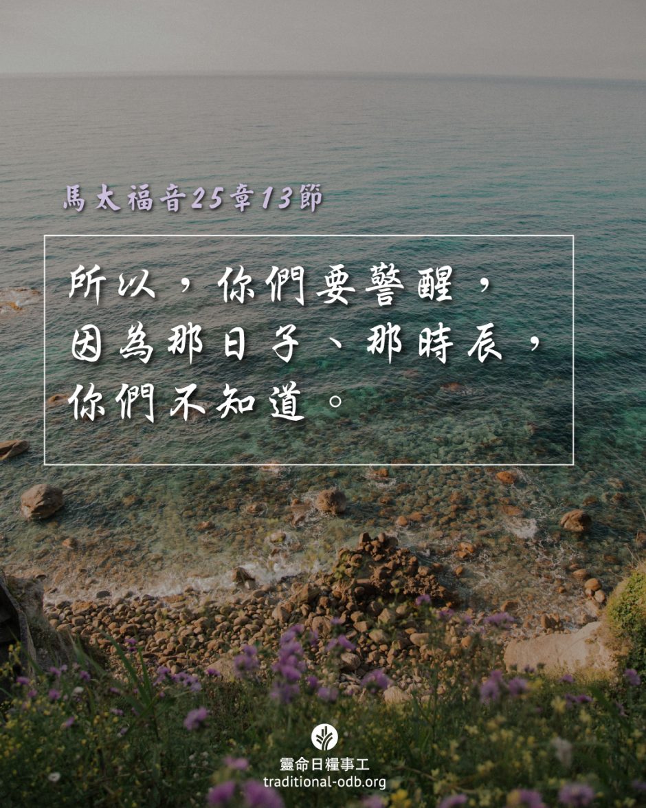 share_odb_2025-07-05 TC