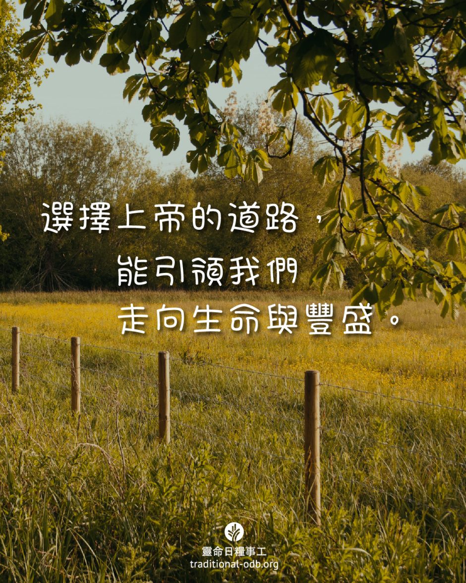 share_odb_2025-07-06 TC