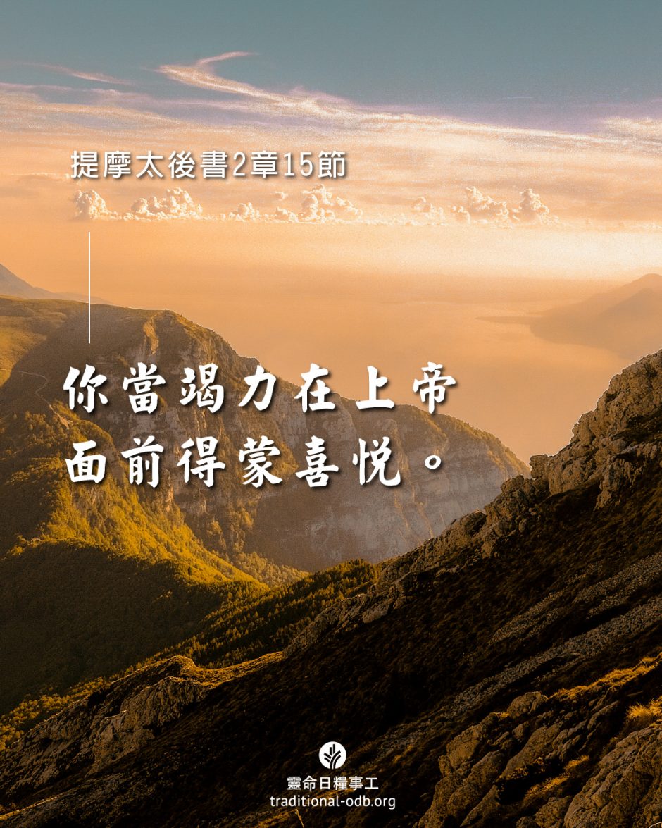 share_odb_2025-07-07 TC