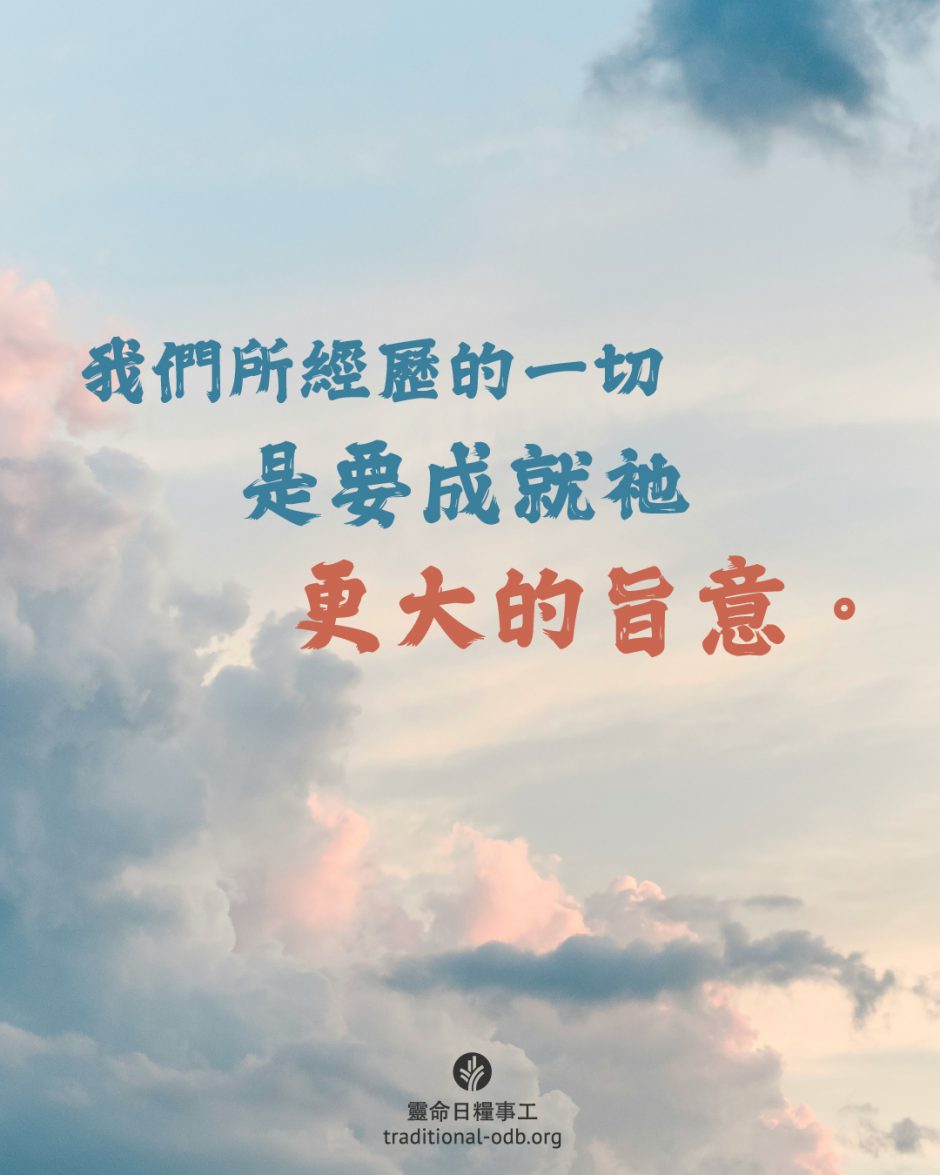 share_odb_2025-07-08 TC