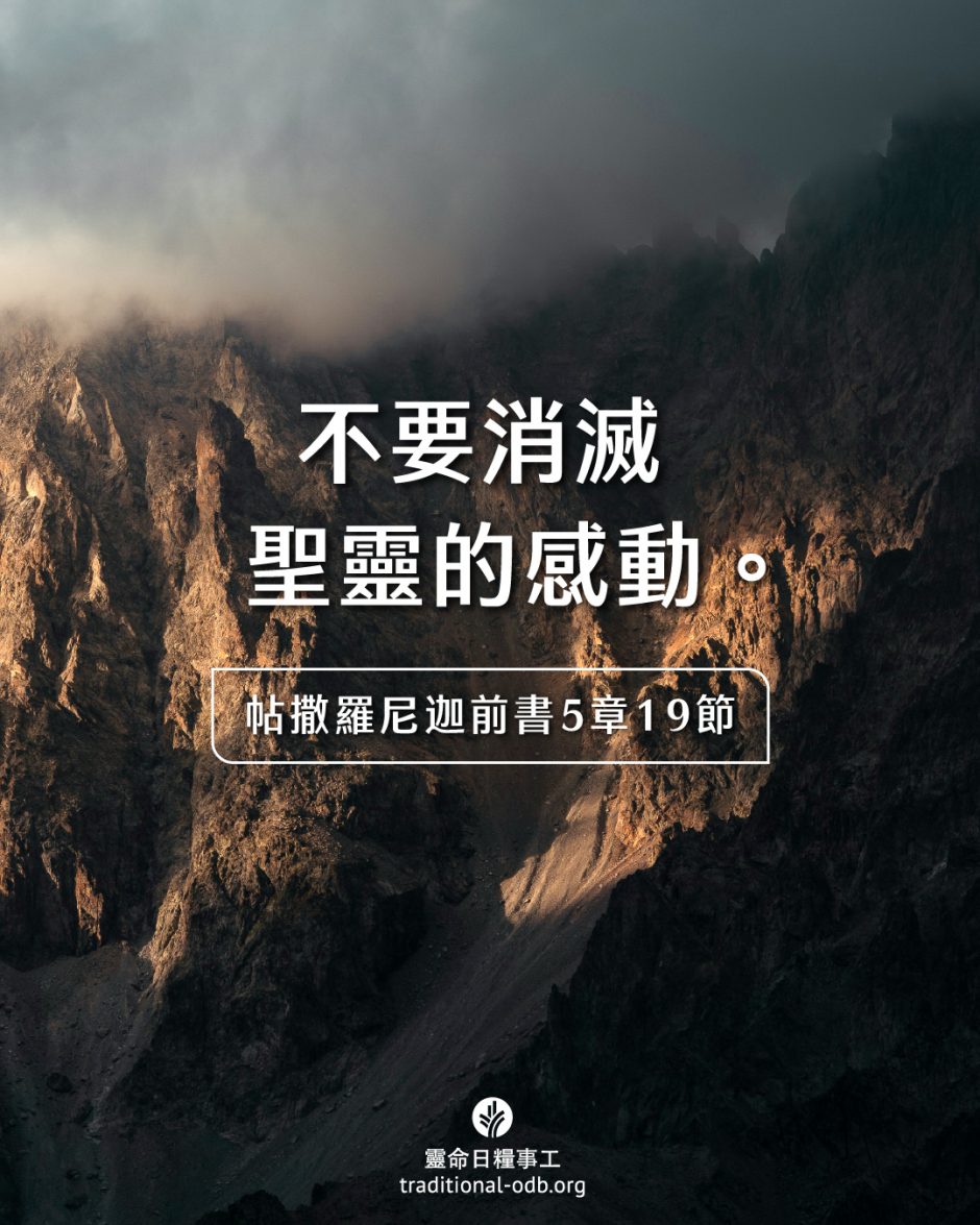 share_odb_2025-07-09 TC