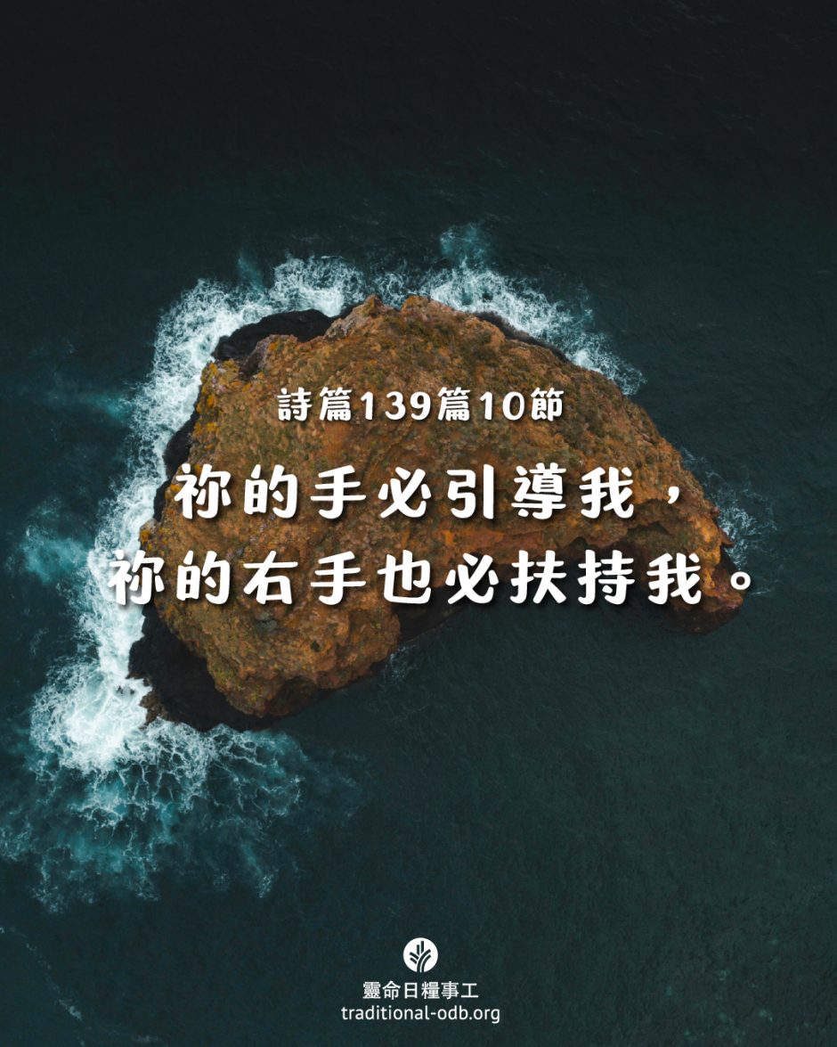 share_odb_2025-07-10 TC