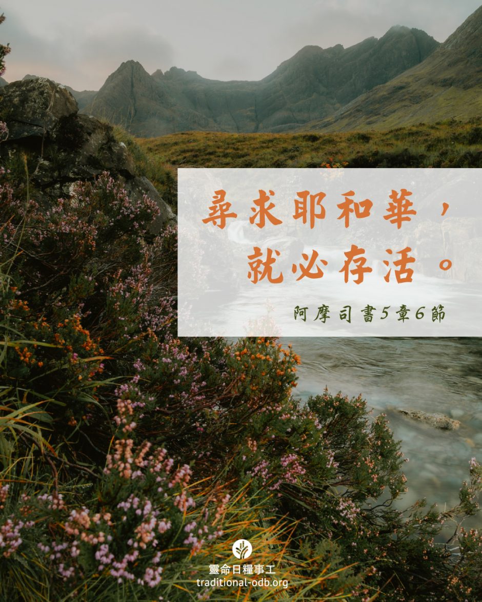 share_odb_2025-07-11 TC