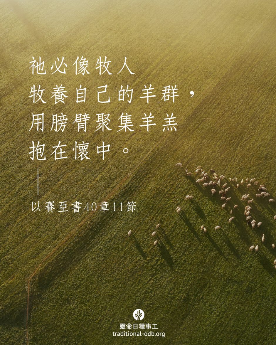 share_odb_2025-09-14 TC