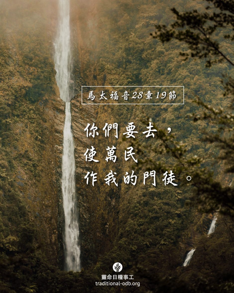 share_odb_2025-09-15 TC