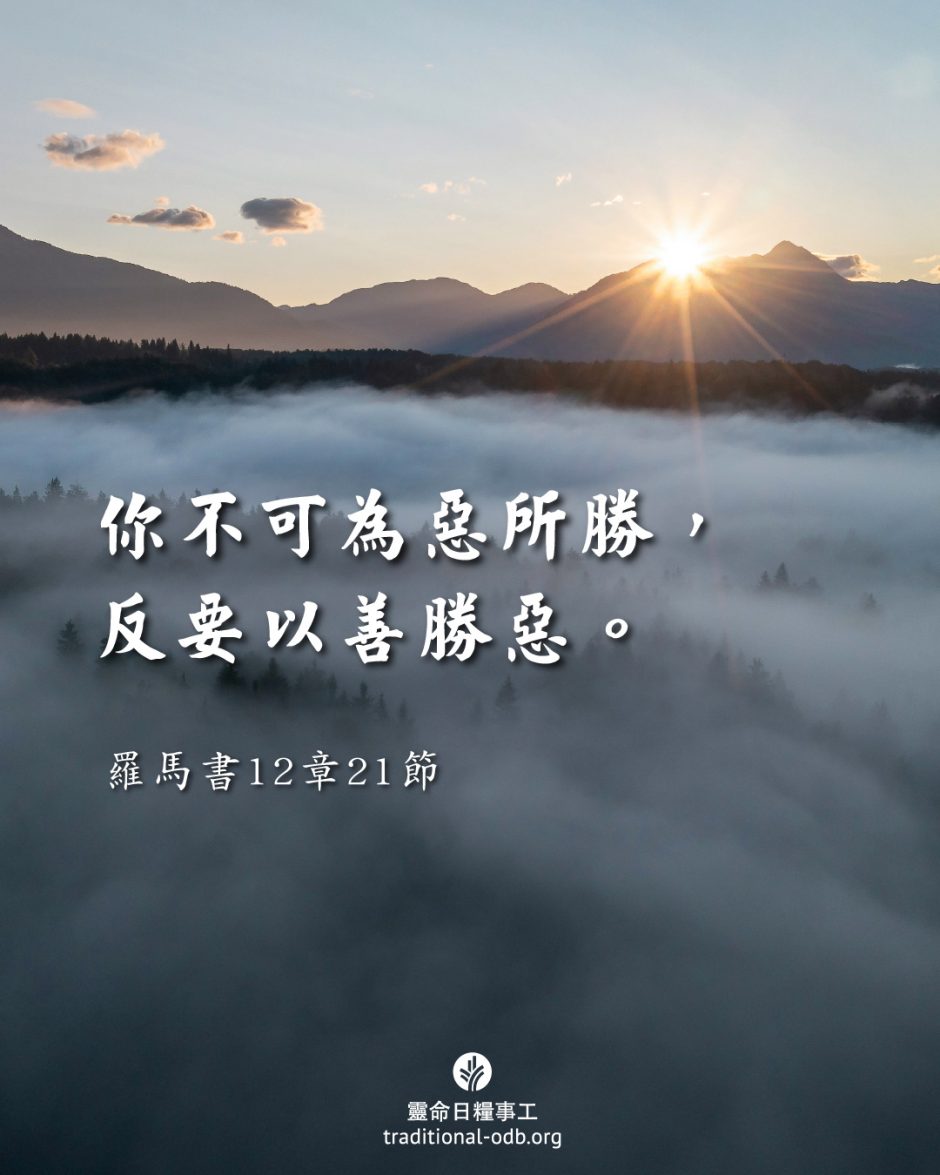 share_odb_2025-09-16 TC