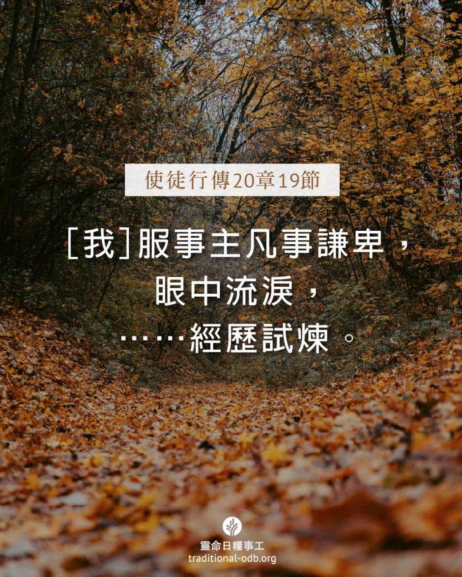 share_odb_2025-09-23 TC