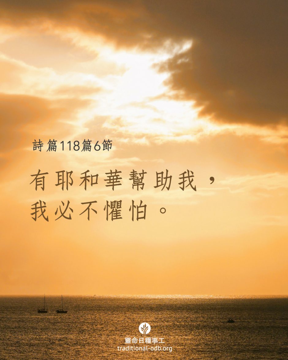 share_odb_2025-09-25 TC