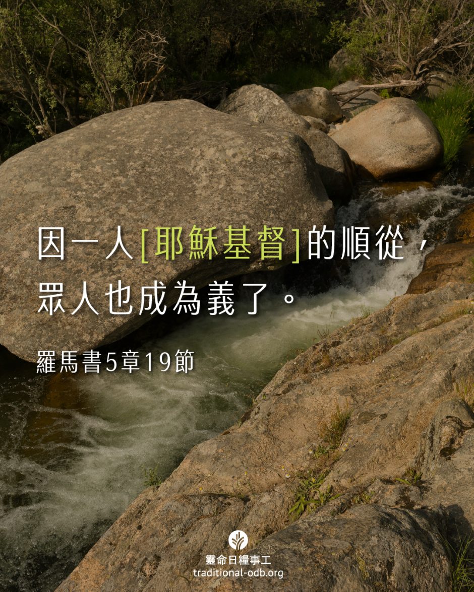 share_odb_2025-09-26 TC