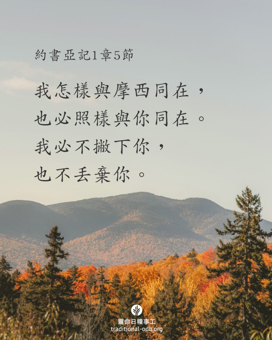 share_odb_2025-09-27 TC