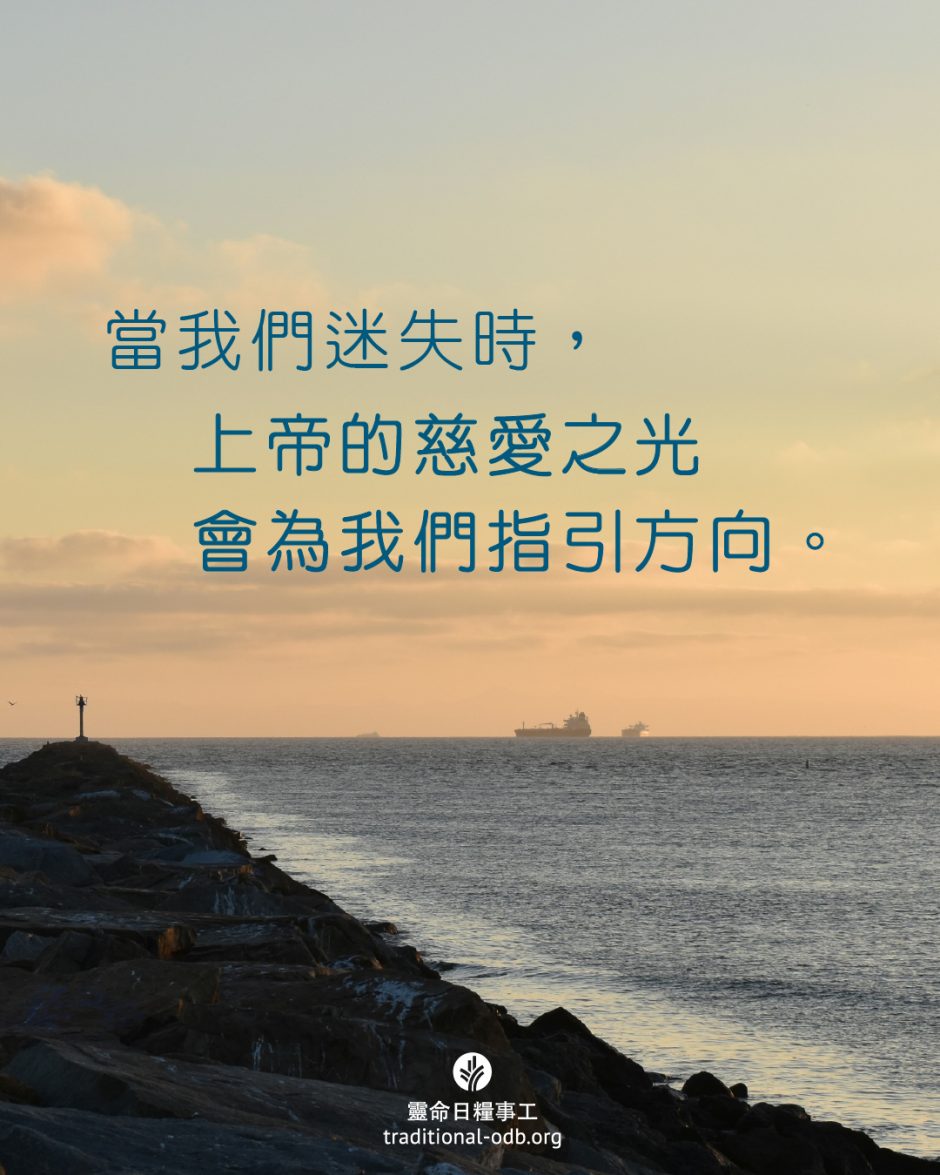 share_odb_2025-09-28 TC