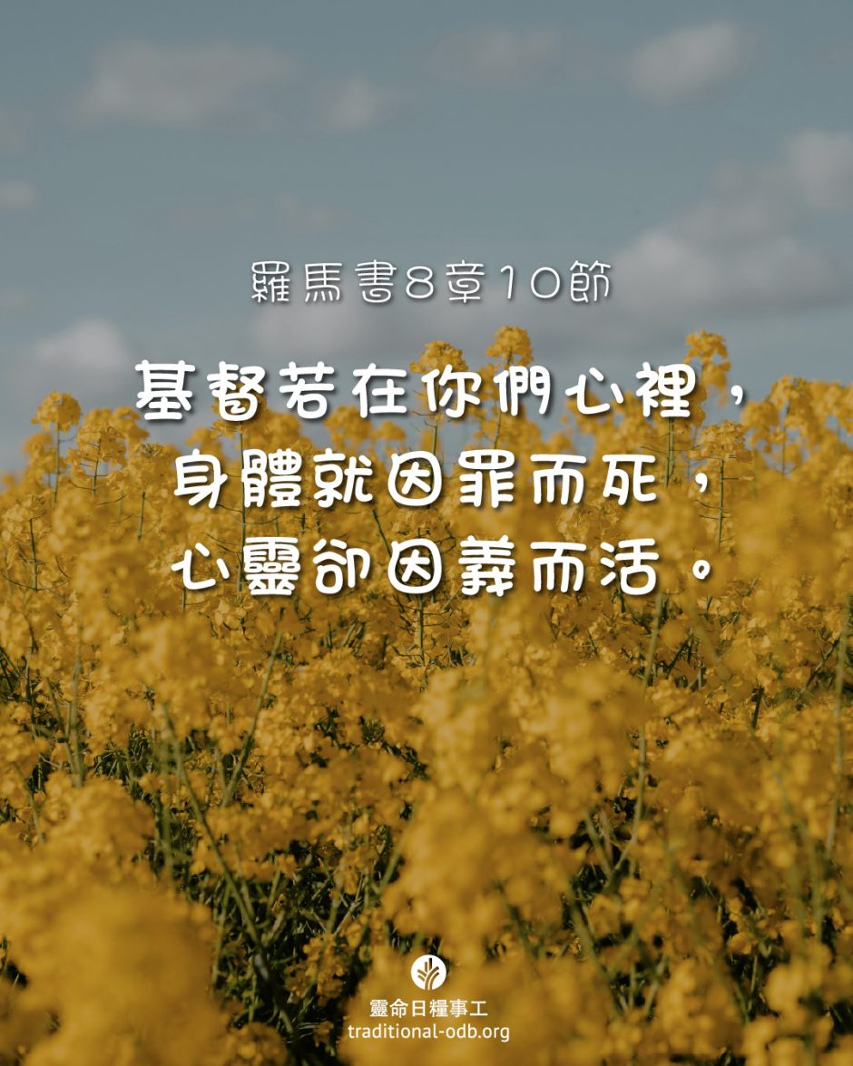 share_odb_2025-09-29 TC