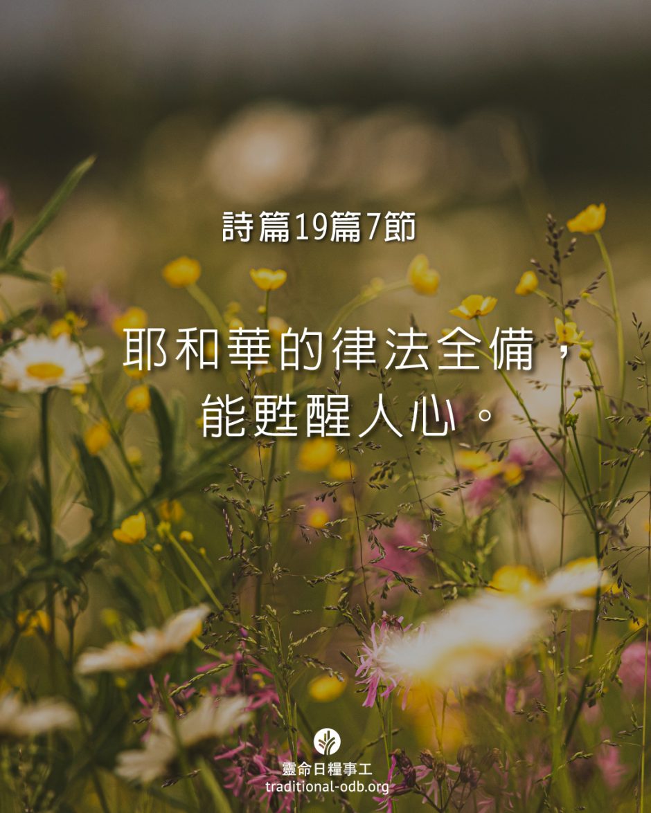 share_odb_2025-09-20 TC