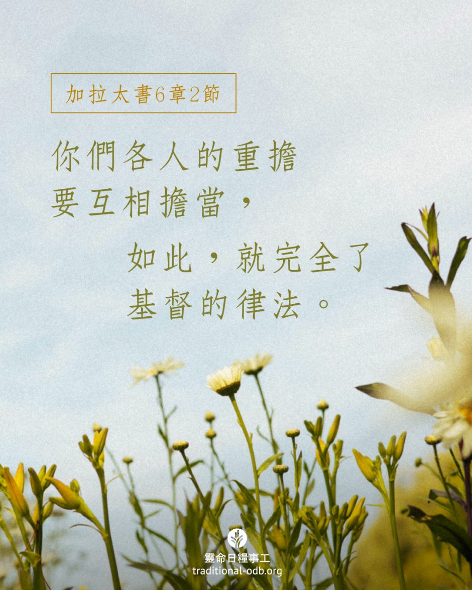 share_odb_2025-10-05 TC